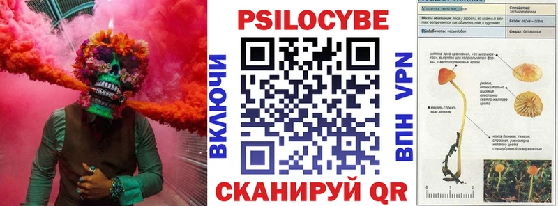 купить наркоту  Алапаевск  Галлюциногенные грибы MAGIC MUSHROOMS 