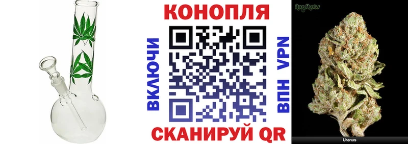 где найти   Алапаевск  кракен маркетплейс  Конопля OG Kush 